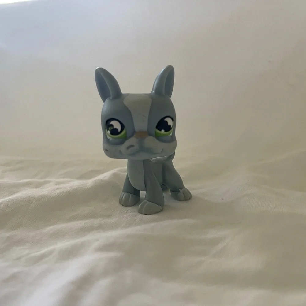 Littlest Pet Shop LPS Blue dog, Boston Terrier, bat eyes #857